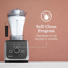 Vitamix Ascent X4 Blender with Five Blending Programs, Self-Cleaning Program, Professional-Grade Blender for Smoothies, Soups & More, Stainless-Steel Blades, 48 Oz Container, Brushed Stainless